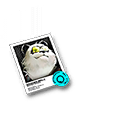 Da Pan's Token
