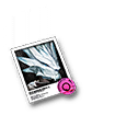 Antal's Token