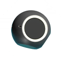 Stable Essence
