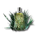 Breeze of Kjersch