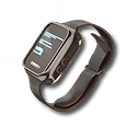 Romano's Watch