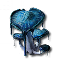 Rare Fungus