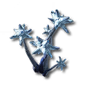 Kalkodendra