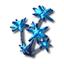 Chrysodendra