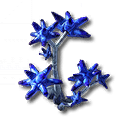 Vitrodendra
