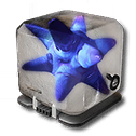 Vitrodendra Tuber
