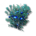 Buckflower