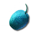 Citrome Seed