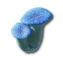 Formula: Pink Bolete