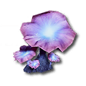 Cosmagaric
