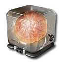 Talos Cap Mycelia