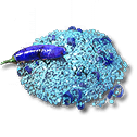 Tartpepper Seed