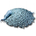 Redjade Ginseng Seed