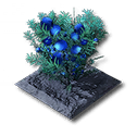 Buckflower Plot