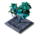 Citrome Plot