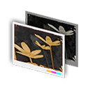 Filter: Hues of Hope